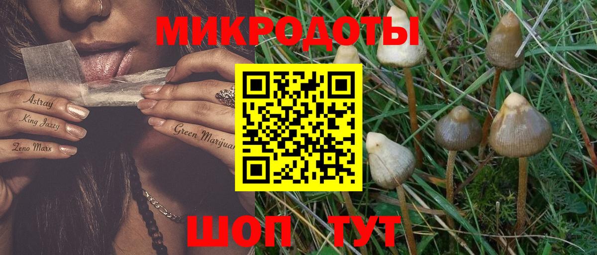 Рязань  где можно купить   Вход с VPN  Галлюциногенные грибы прущие грибы 
